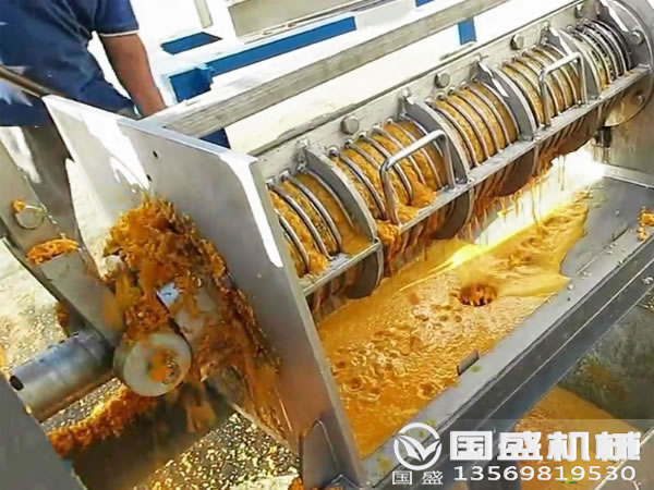 木瓜榨汁機(jī) 木瓜榨汁機(jī)